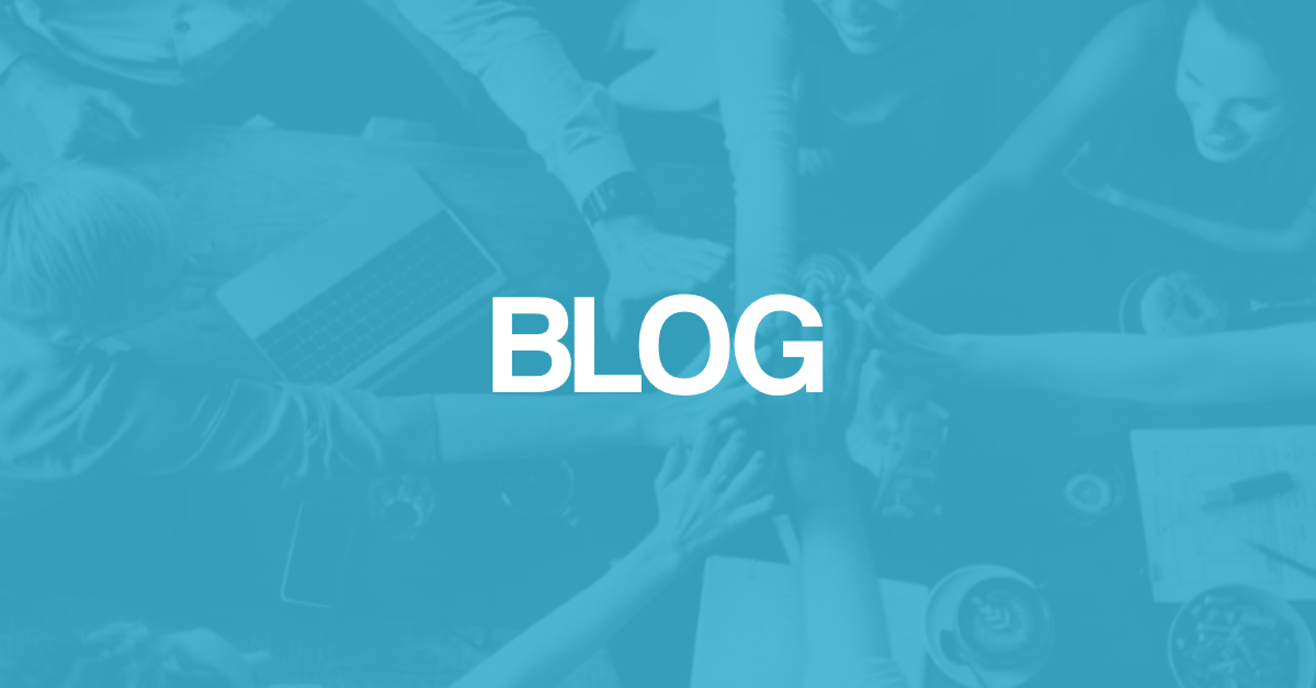 Blog - Blue Wolf Interactive